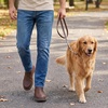 image:imageJousen Mens Chelsea Boots Casual Slip On Ankle Boots with Memory FoamAmy8119abrown